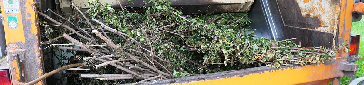 EAW-Grüngutsäcke - Symbol für die Sammlung - zum Online-Anmelde-Formular